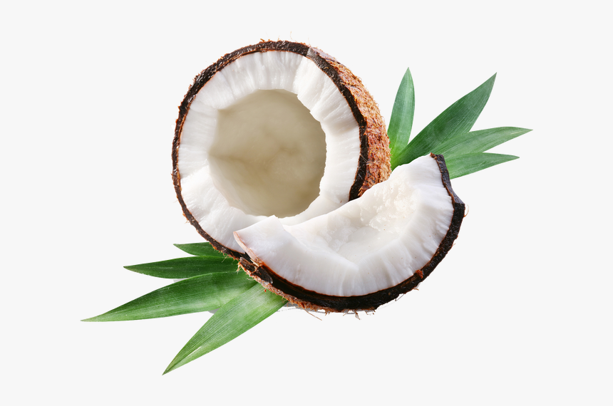 Clip Art Royalty Free Why We Break Coconuts - Coconut Oil Png, Transparent Png