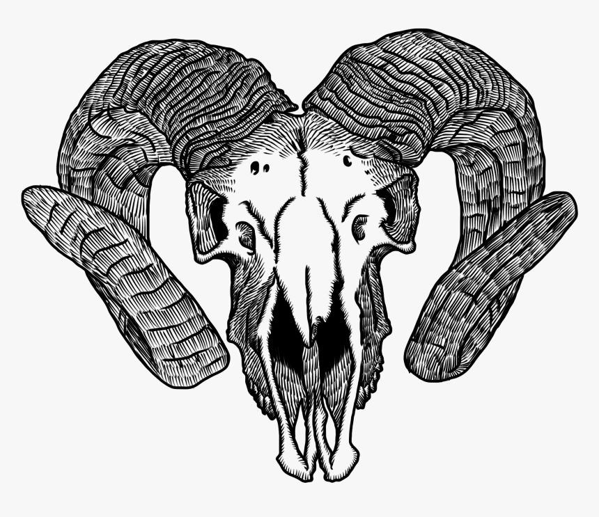 Bikini Clipart Coconut - Goat Skull Png Logo, Transparent Png