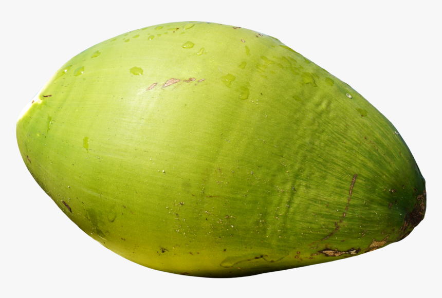 Coconut Clipart Coconut Bunch - Green Coconut Fruit Png, Transparent Png