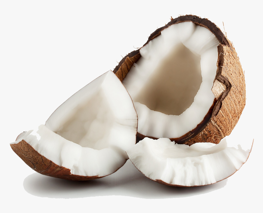 Transparent Coconut Png Images - Hindistan Cevizi Meyvesi Tarifi, Png Download