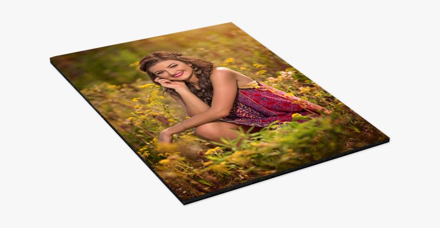 Grass, HD Png Download