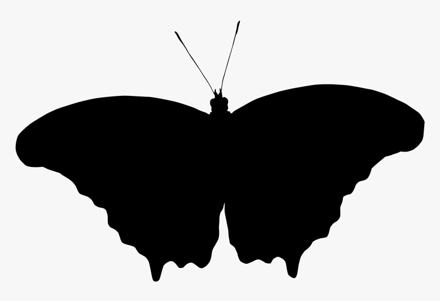 Butterfly Png Brush Footed - Papilio, Transparent Png