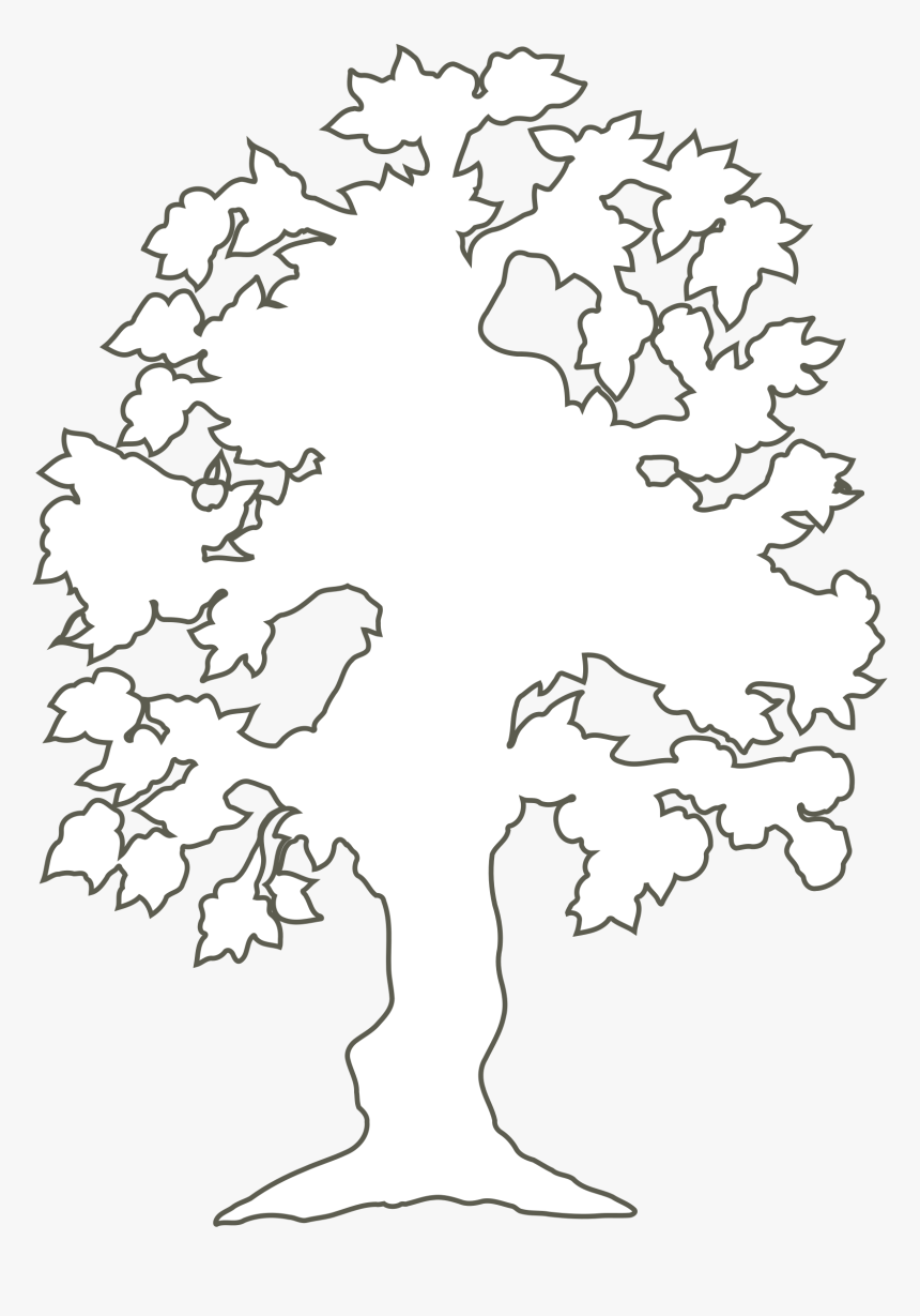 Life Clipart Cartoon Tree - White Outline Of A Tree, HD Png Download