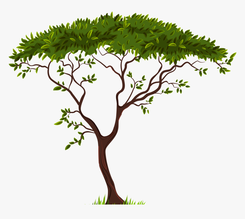 Exotic Tree Png Clip Art - Transparent Background Tree Clip Art, Png Download