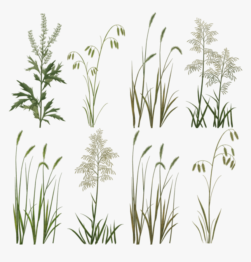 Crop, HD Png Download