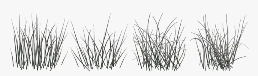Black And White Texture Long Grass, HD Png Download