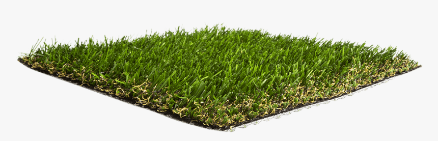 Artificial Grass Liquidators Turf Agl California Gold - Lawn, HD Png Download