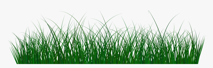 Grass Clipart Green Png - Sweet Grass, Transparent Png