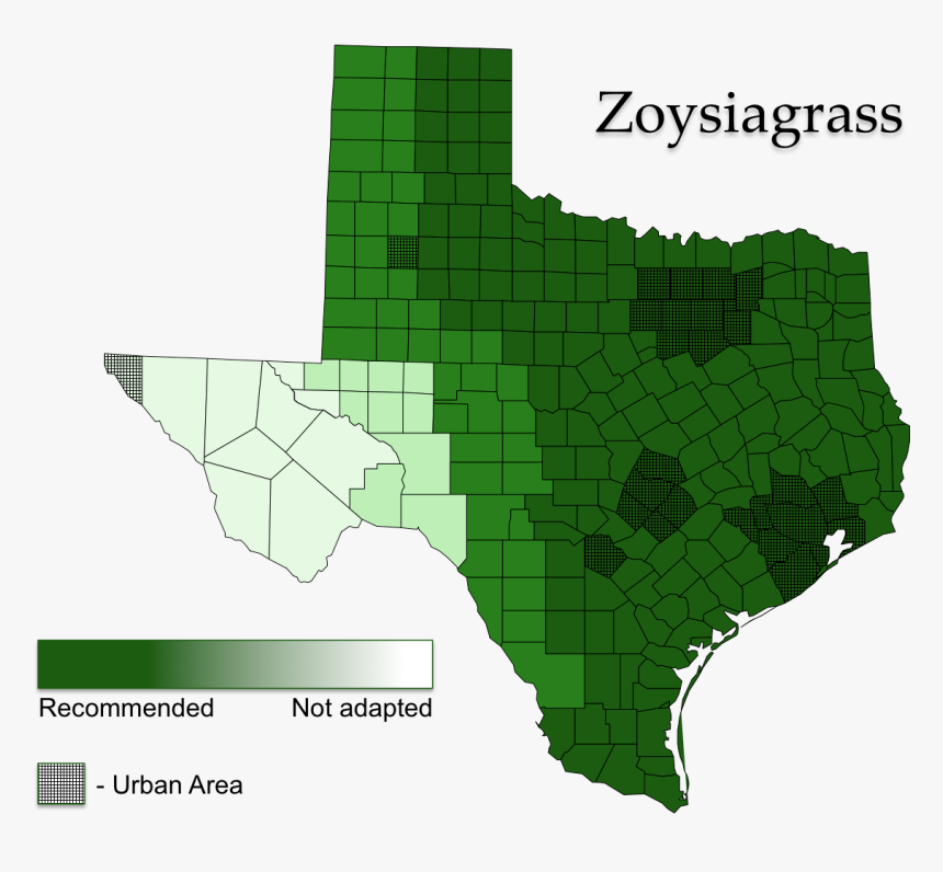 Zoysiagrass Areas Of Adaptation - St Augustine Grass Map, HD Png Download