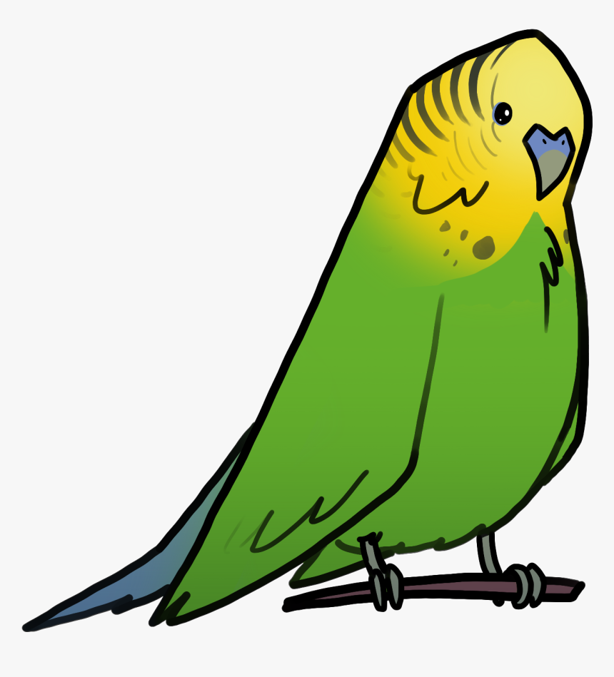 Budgie, HD Png Download
