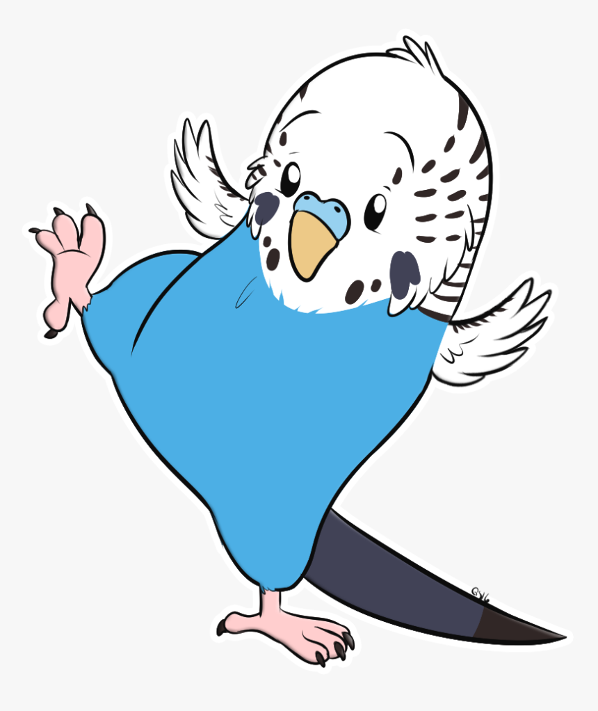 Senpai Budgie - Transparent Budgie Clip Art, HD Png Download
