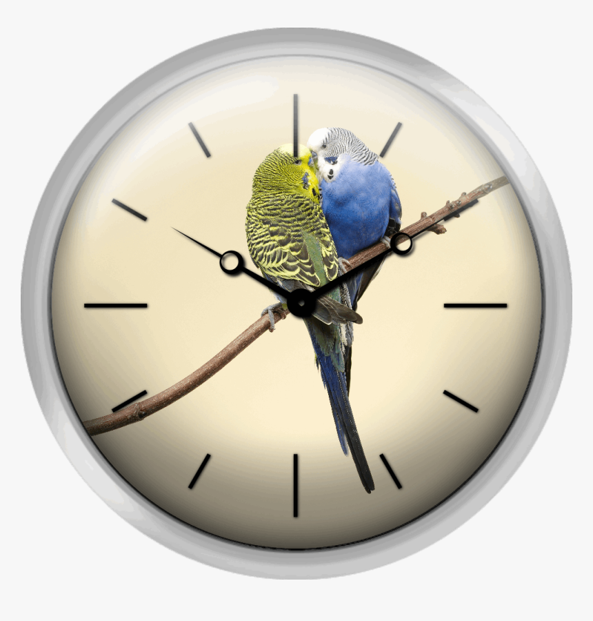 Two Budgies Kissing On A Branch - Lindo É Quando Alguém Escolhe Pousar Ao Teu Lado, HD Png Download