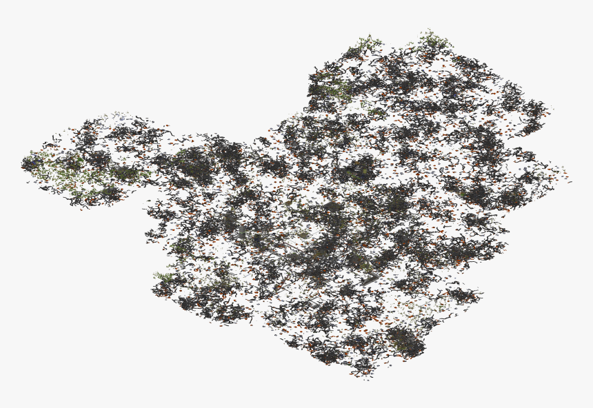 Sketch, HD Png Download