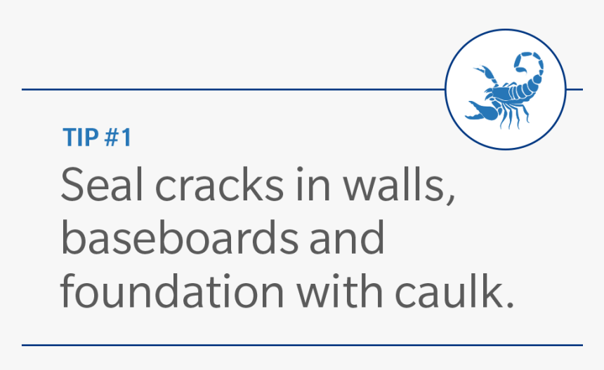 Starbucks It's Bigger Than, HD Png Download