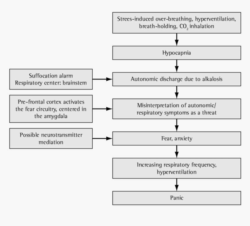 Black-and-white, HD Png Download