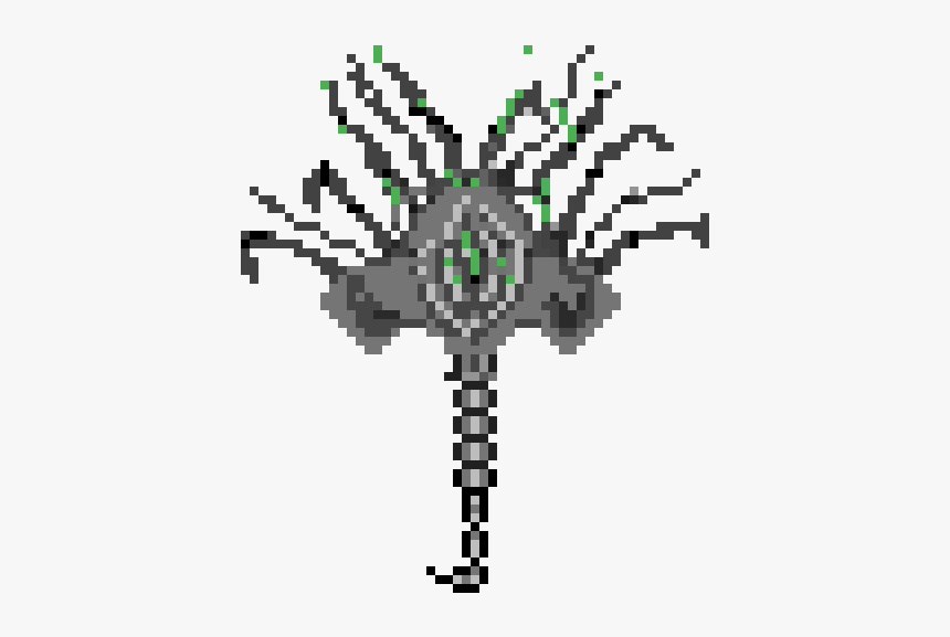 Invertebrate, HD Png Download