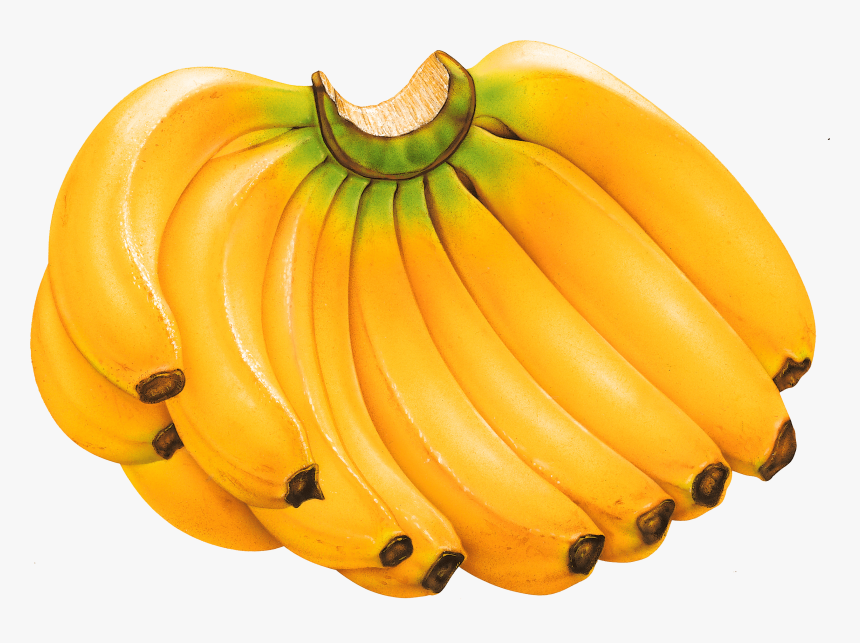 Transparent Banana Clipart - Fruits Banana Png, Png Download