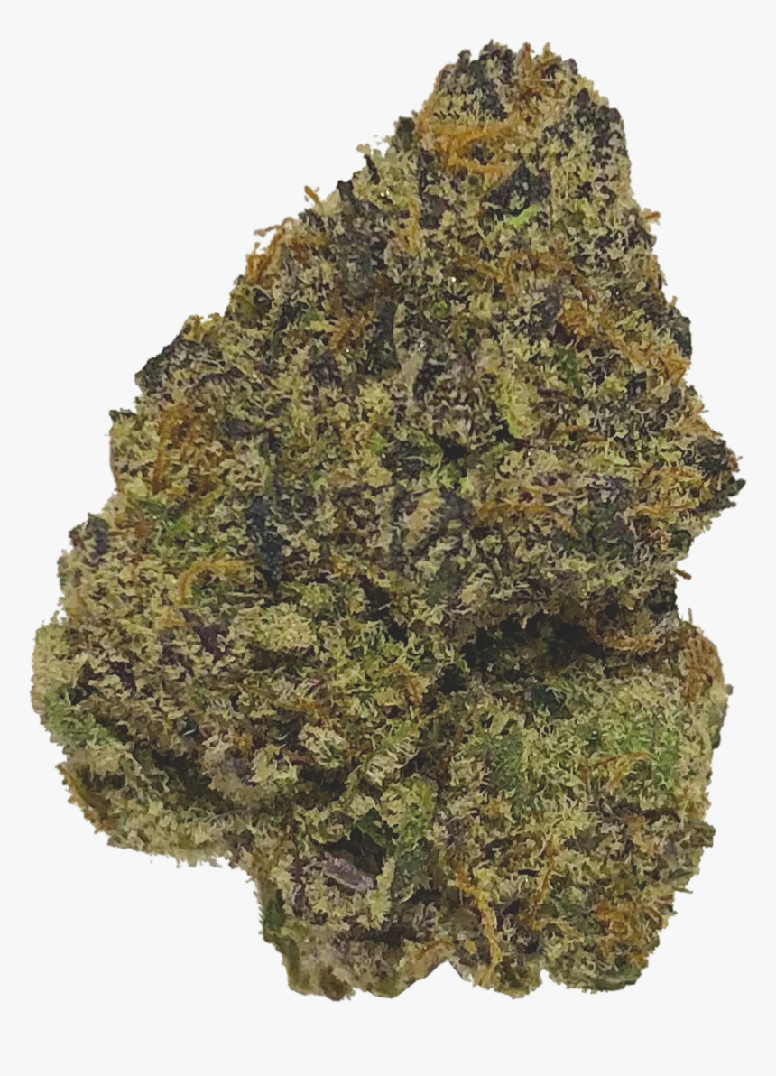 Red Pine, HD Png Download