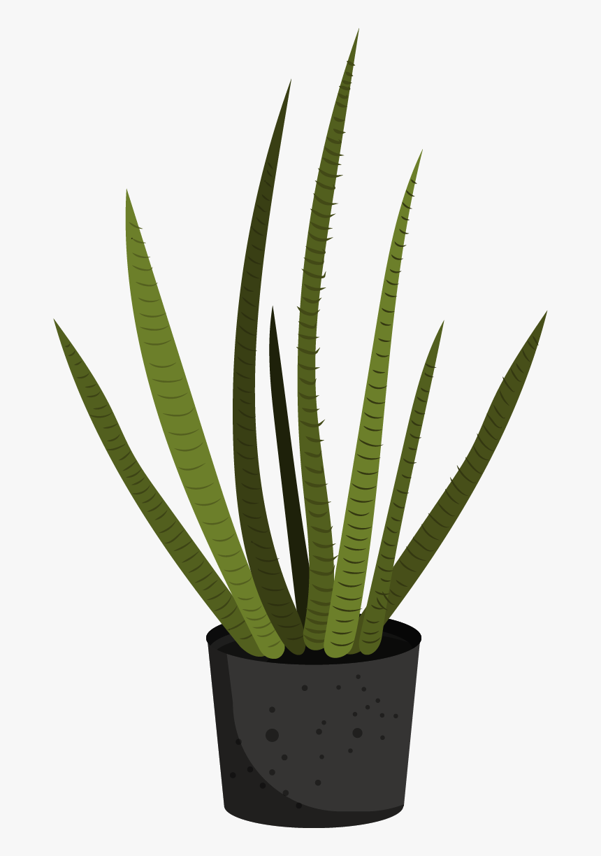 Flowerpot, HD Png Download