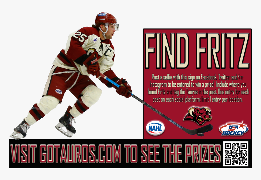 Transparent Tauros Png - Usa Hockey, Png Download