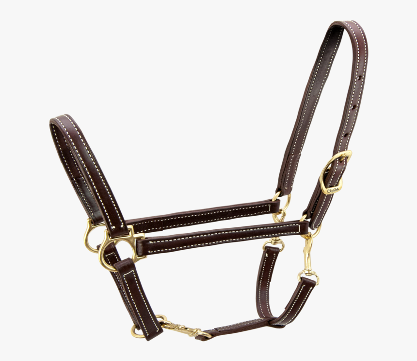 Convertible Halter - - Halter, HD Png Download