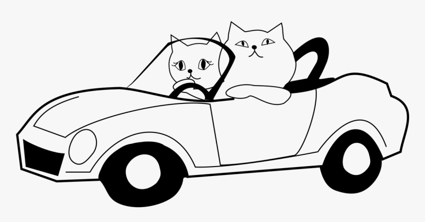 Cat Driving Car Drawing, HD Png Download