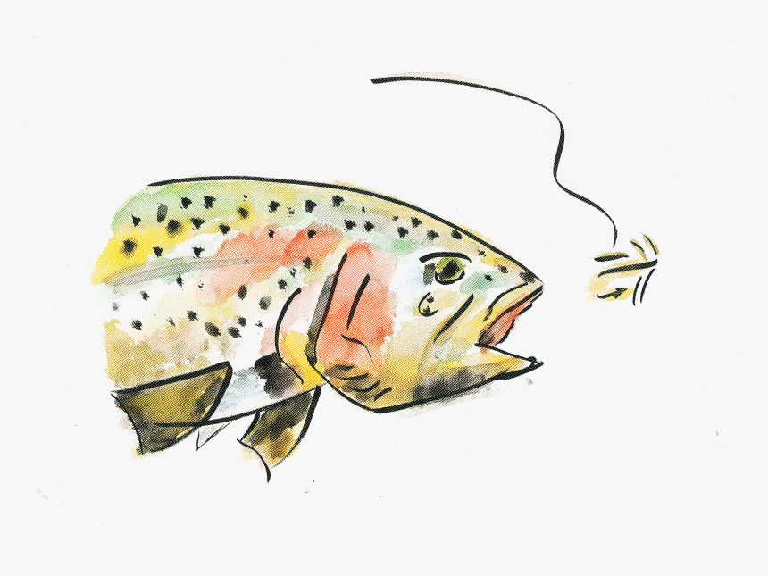 Coral Reef Fish, HD Png Download