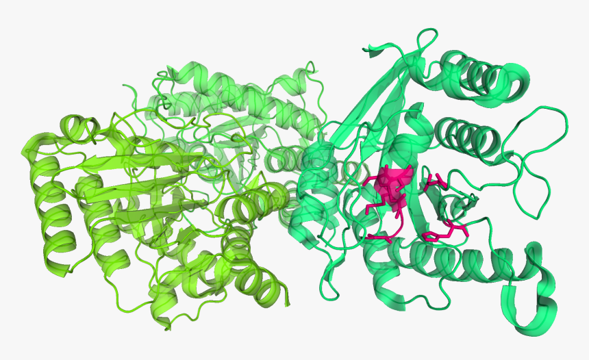 File - Toc34, HD Png Download