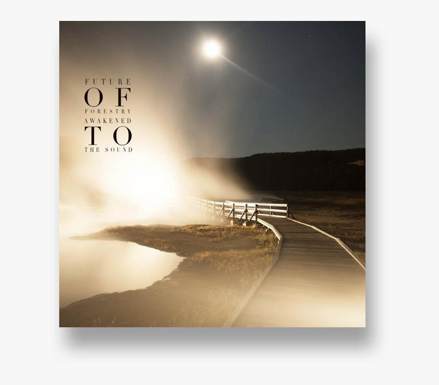 Artboard Copy - Moonlight, HD Png Download