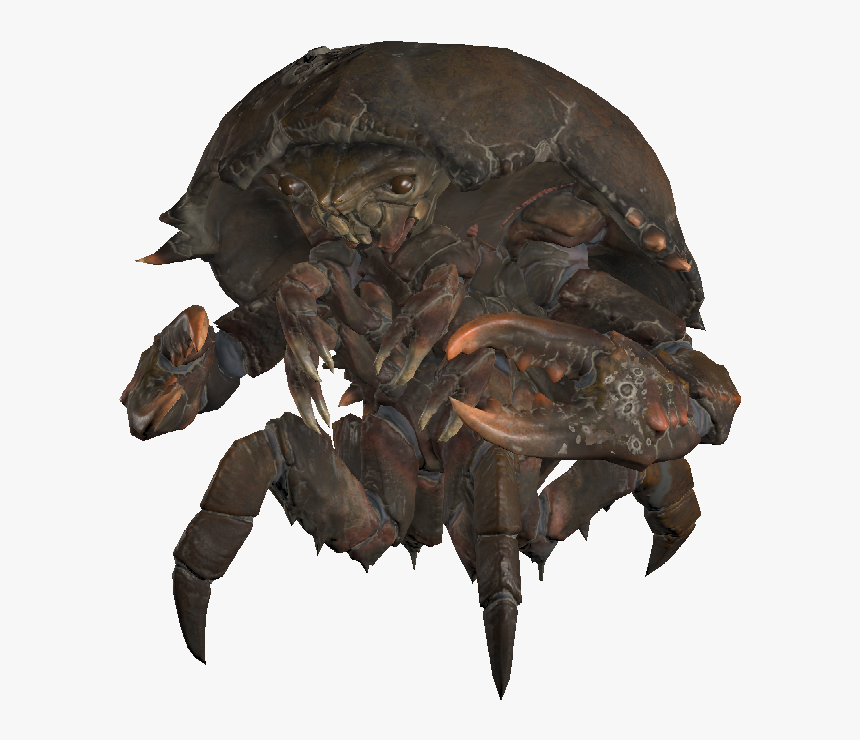 Encmirelurk01template - Fallout 4 Softshell Mirelurk, HD Png Download