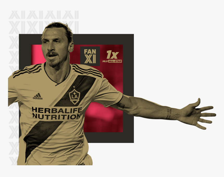 Player, HD Png Download