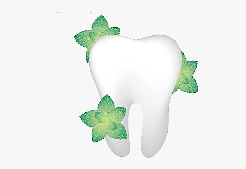 Single Teeth Png Image Transparent - Flower Tooth Png, Png Download