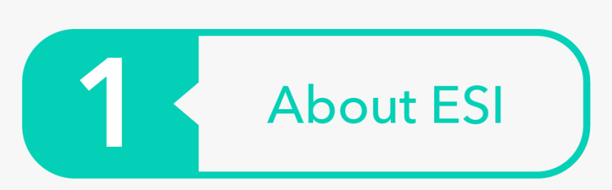 Program Icon-02 - Circle, HD Png Download