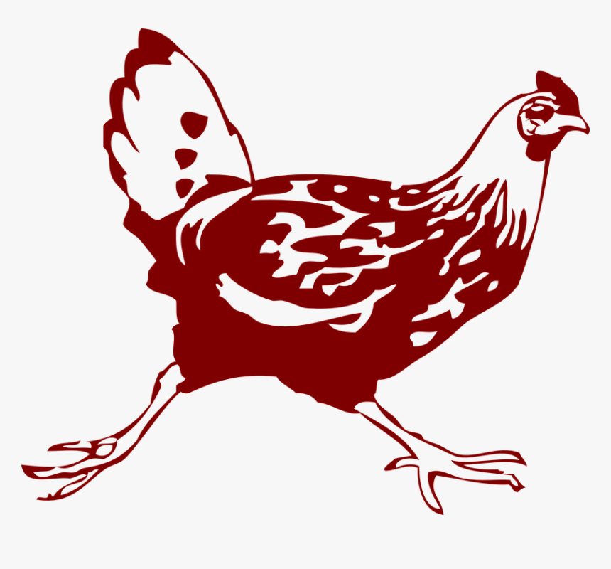 Chicken, Hen, Running, Brown, Legs, Tail - Difference Between Erotic And Kinky, HD Png Download