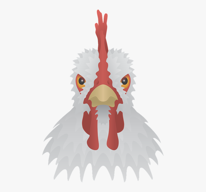 Chicken, HD Png Download