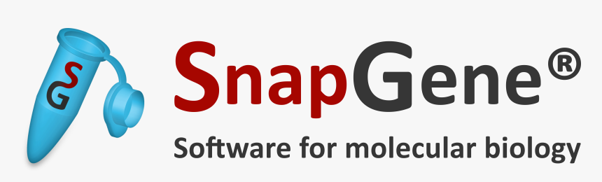 Gene Png, Transparent Png