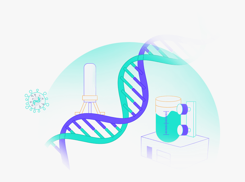 Illustration, HD Png Download