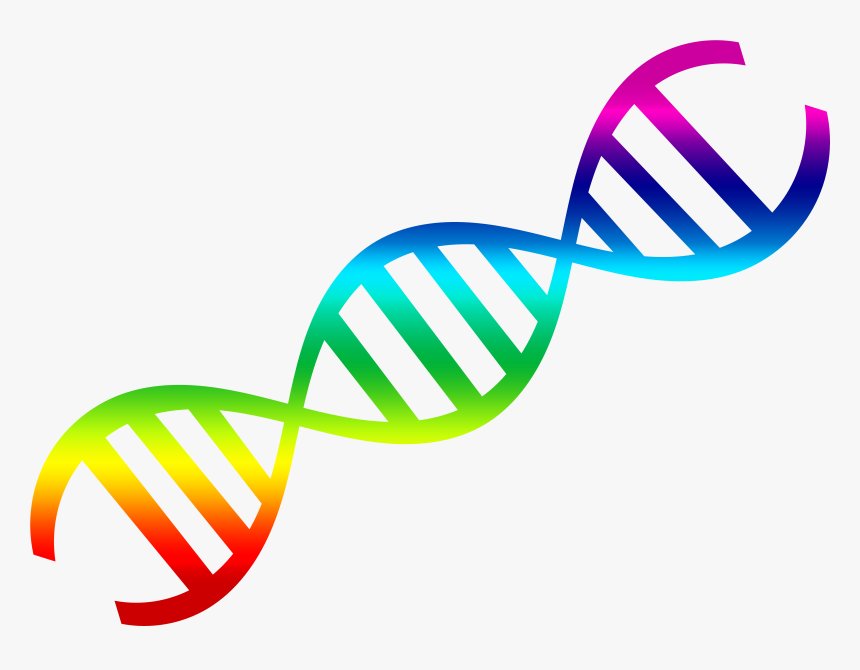 Dna Png Transparent, Png Download