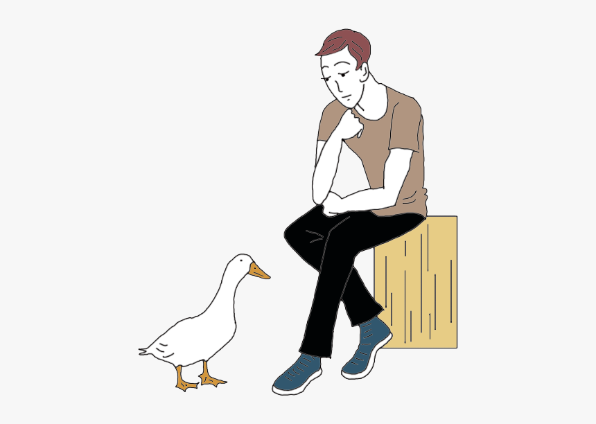 Duck Dream Meaning - Illustration, HD Png Download