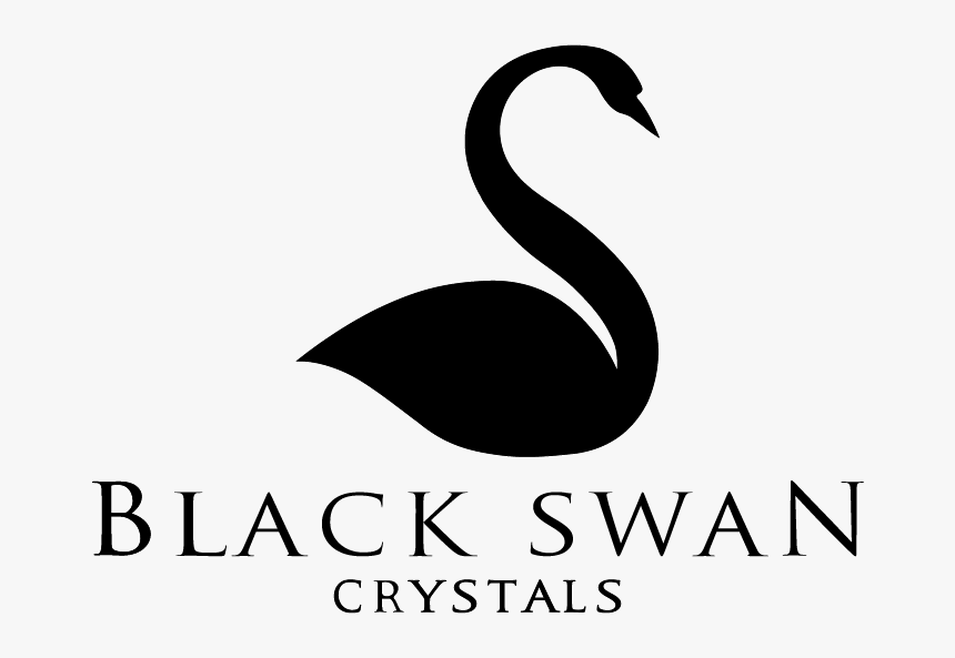 Black Swan, HD Png Download