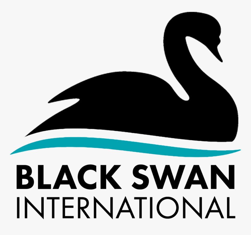 Black Swan International - Duck, HD Png Download