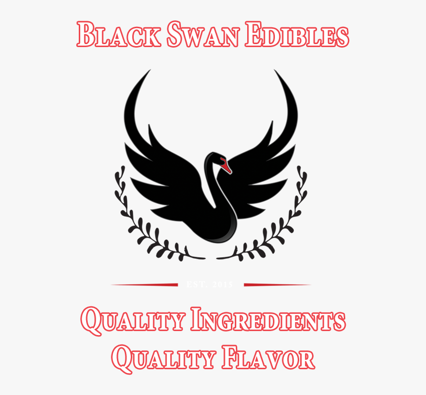 Image - Waterfowl, HD Png Download