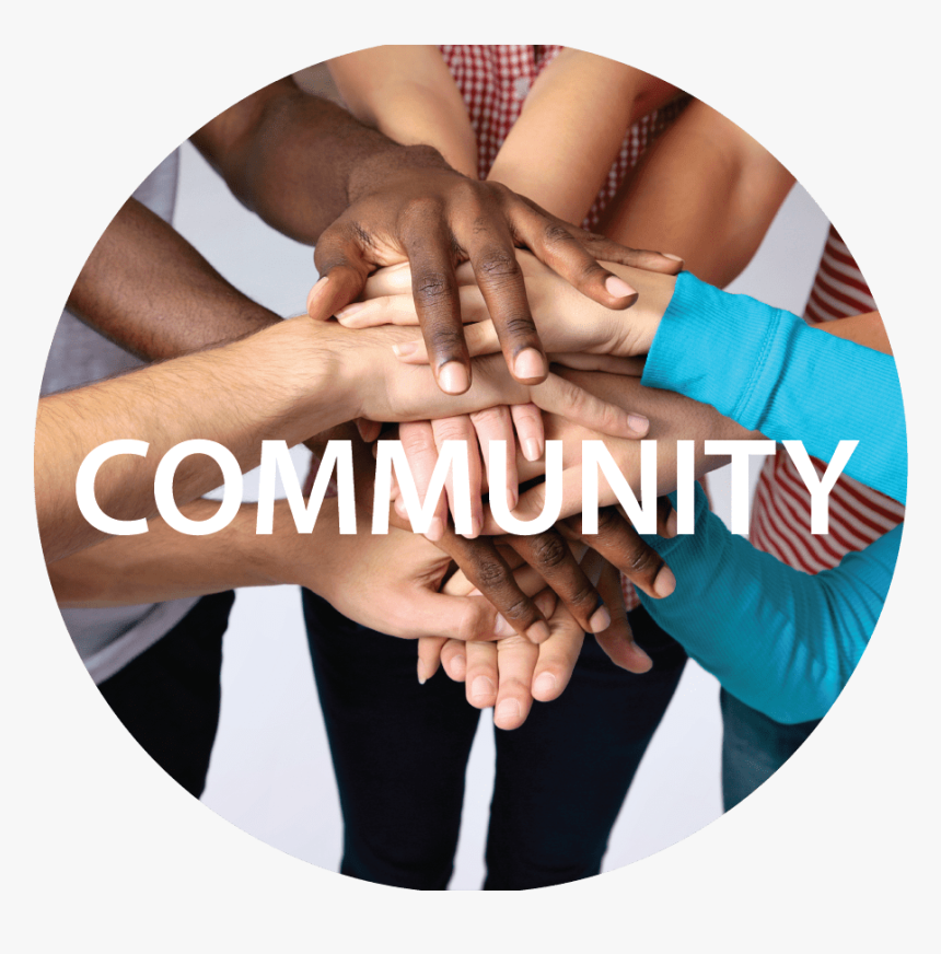 Friendly Roommate, HD Png Download