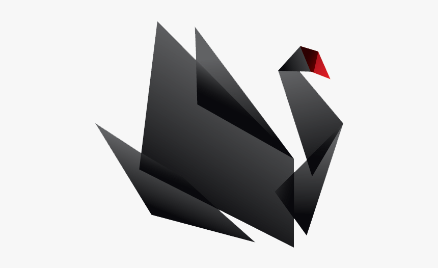 Bird, HD Png Download