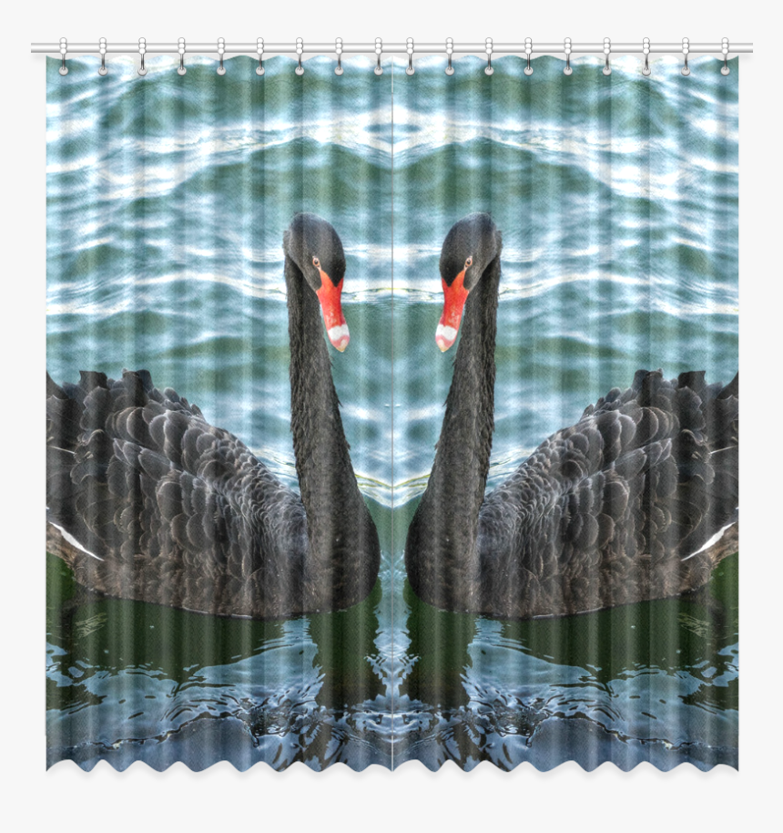 Peaceful Black Swan Window Curtain 52 X108 - Black Swan, HD Png Download