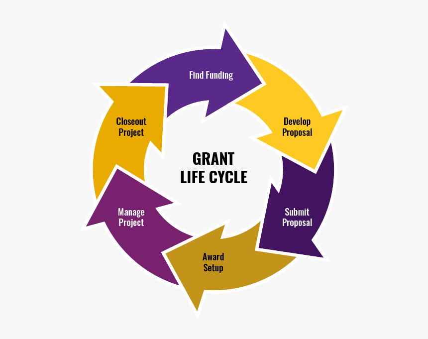 Management, HD Png Download