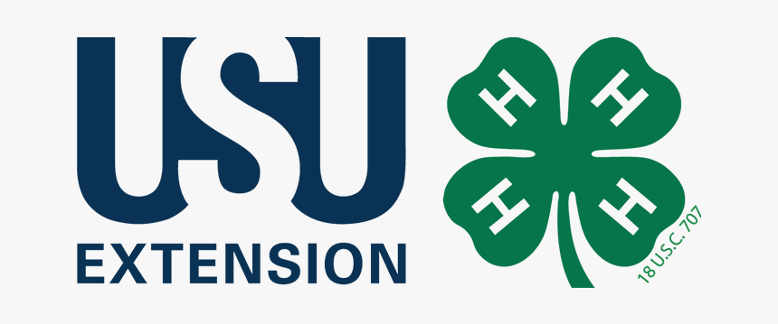 Washington County 4-h - 4 H's Of 4h, HD Png Download