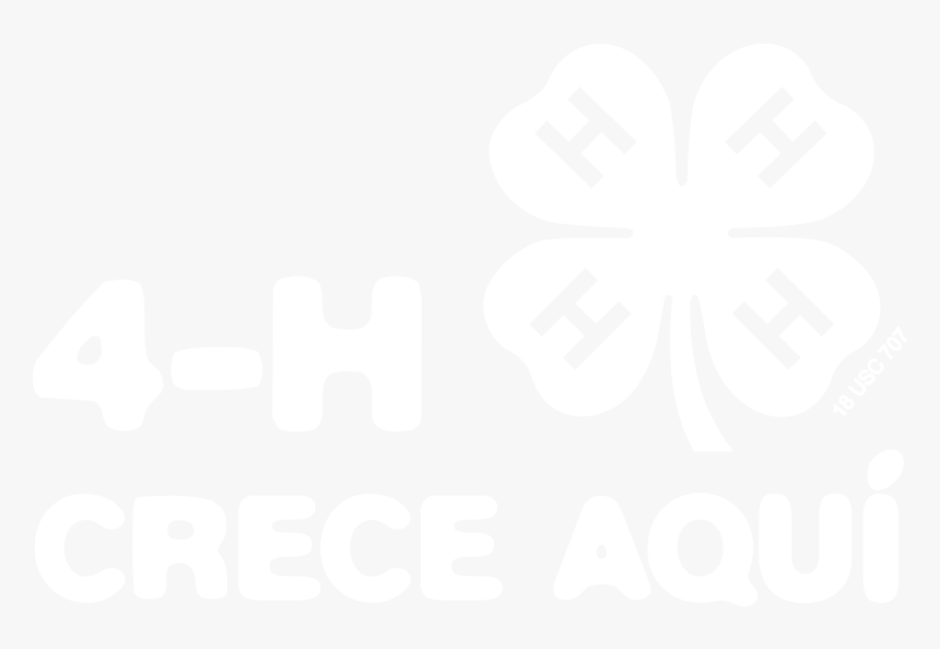 4 H Grand Champion Ribbon, HD Png Download