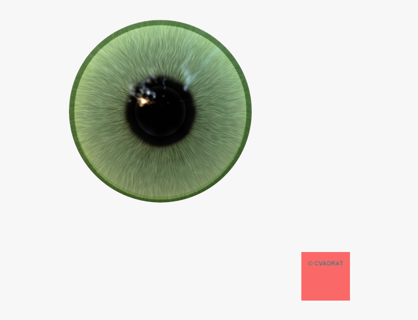 Eyeball Png Realistic - Anytime Baby, Transparent Png