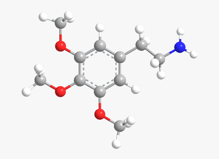 Allotropes Of Carbon Graphene, HD Png Download